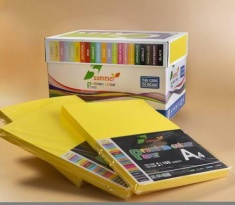 Giấy Bìa màu LEMON 160gsm, A4, 100 tờ, Nhóm B (8116GR9) (VÀNG)