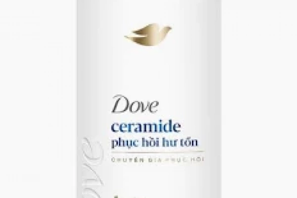 Dầu gội dove phục hồi tóc hư tổn 850gr
